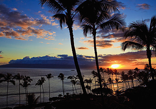 夏威夷,毛伊岛,卡亚纳帕里,海滩,日落,棕榈树