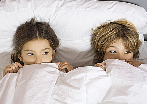 两个孩子,卧,床上,遮盖,向上,鼻子