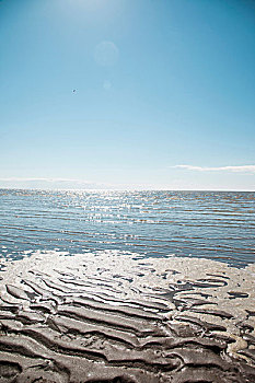 泥滩,清晰,蓝天