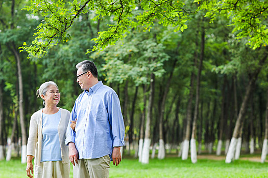 幸福的老年夫妇在公园散步