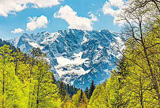 风景,山,雪,树,春天,靠近,加米施帕藤基兴,地区,巴伐利亚,上巴伐利亚,德国,欧洲
