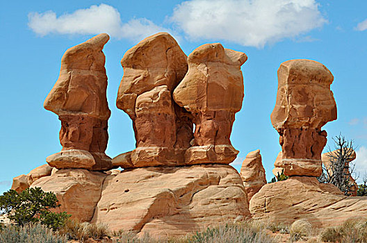 砂岩,石头,石化,沙丘,花园,科罗拉多高原,犹他,美国,北美