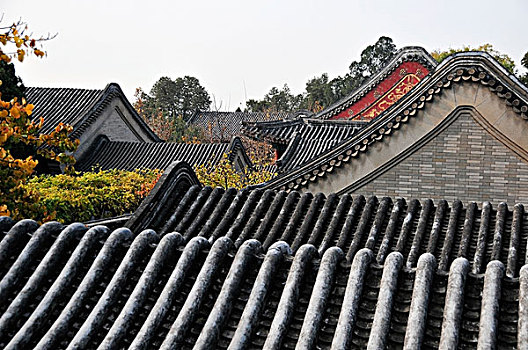 屋顶,建筑,北京,中国