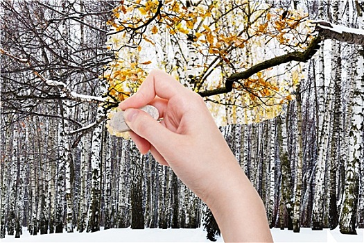 手,冬日树林,橡胶,橡皮