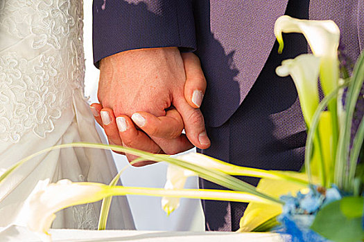 婚礼,情侣,握手