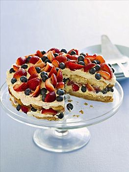 提拉米苏蛋糕,蛋糕,浆果,块