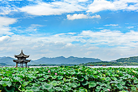 杭州西湖风光夏天