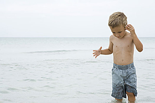 小男孩,站立,膝,海洋,拿着,向上,海贝,耳,正面