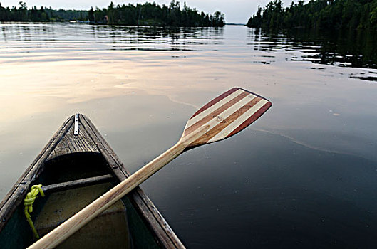 桨,侧面,独木舟,湖,木头,安大略省,加拿大