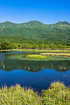 山脉,五个,湖,国家公园,半岛,北海道,日本