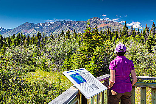游客,风景,早,俯瞰,克卢恩湖,省立公园,育空地区,加拿大