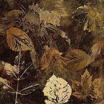 艺术,花,叶子,秋天,背景,卡片,褐色,深褐色