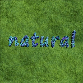 自然,创作,蓝花,草