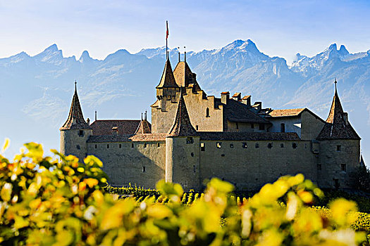 瑞士,葡萄园,城堡