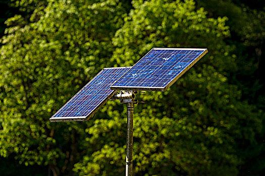 太阳能电池板,正面,绿色,灌木丛,能量,太阳