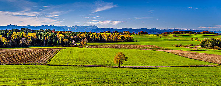 德国,巴伐利亚,上巴伐利亚,秋天风景,方向,链子,阿尔卑斯山