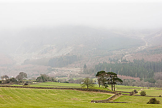 雾,俯视,风景,邓弗里斯,苏格兰
