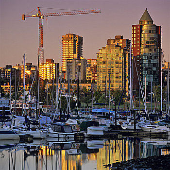 泊船,港口,温哥华,不列颠哥伦比亚省,加拿大