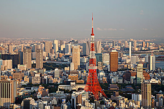 日本,东京,东京塔,城市天际线,景色,塔