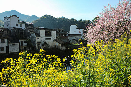 石潭村,安徽,古村落,住宅,建筑,历史,文化,居民,痕迹,村庄,老街