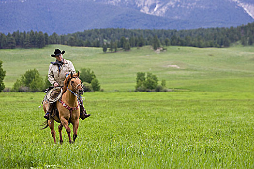 牛仔,骑,草场,大,雪,山麓,靠近,间隙,蒙大拿,牧场