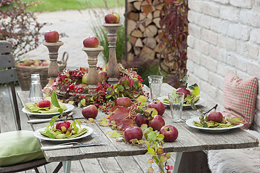 桌饰,苹果,野玫瑰果,葡萄酒