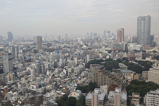 东京塔远眺