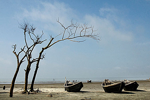 风景,海滩,湾,孟加拉,911事件,2009年