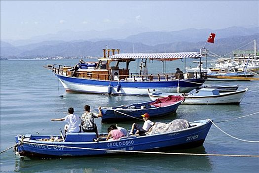 渔业,孩子,渔船,费特希耶,地中海,土耳其