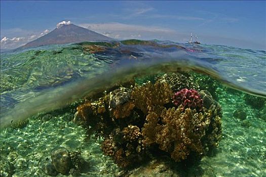 印度尼西亚,分开,图像,珊瑚礁,火山,帆船