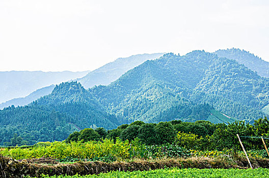 桂林山景秋色