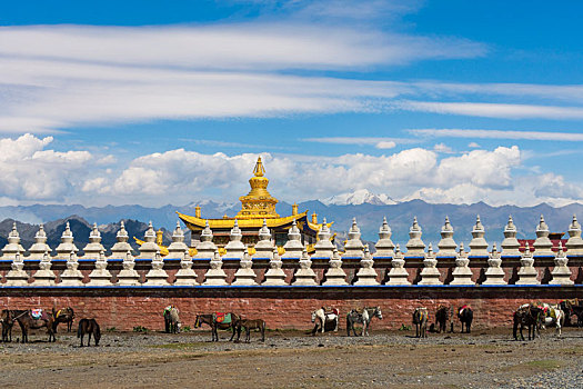 川西藏区风光