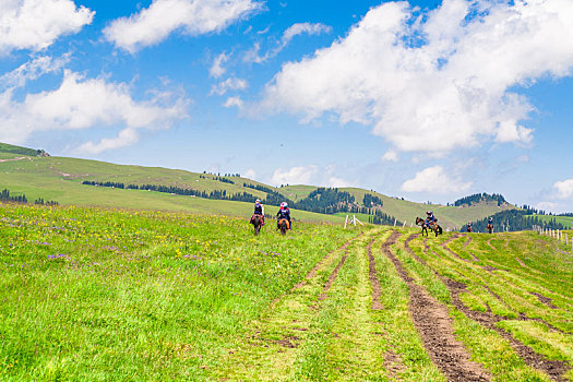夏季的新疆喀拉峻草原上,几匹马上带着游客正慢慢走向远处的山坡