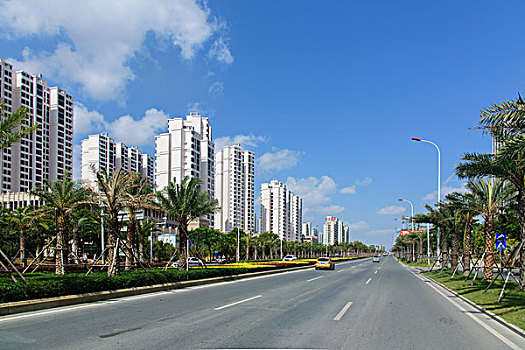 三亚市林荫道路