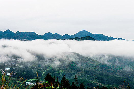 重庆酉阳,青山雾漫别样美