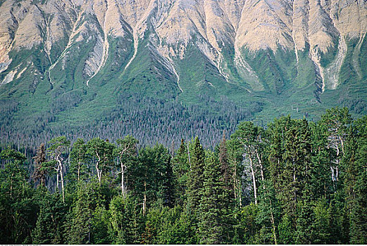 仰拍,山脉,塔琴希尼河,加拿大