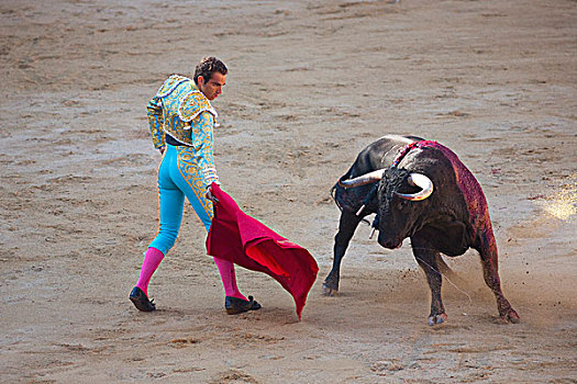 斗牛,节日,潘普洛纳,纳瓦拉,西班牙