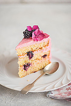 块,黑莓蛋糕,甜点,盘子