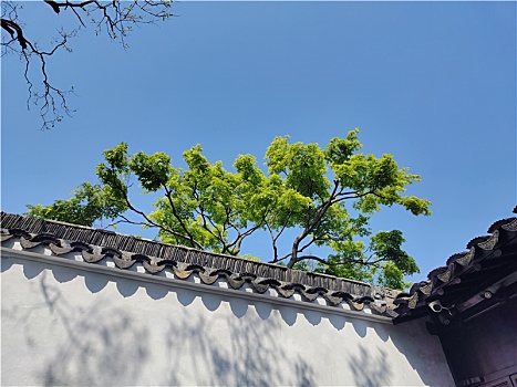 苏州网师园墙上景观