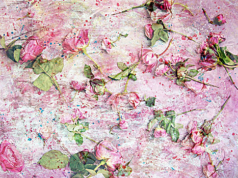 花,蒙太奇,粉色,玫瑰,涂绘,纹理