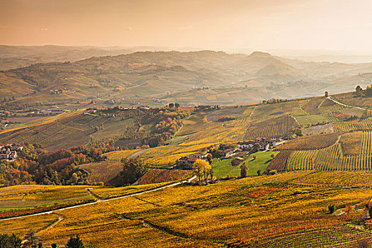 俯视图,山谷,远景,秋天,葡萄园,意大利