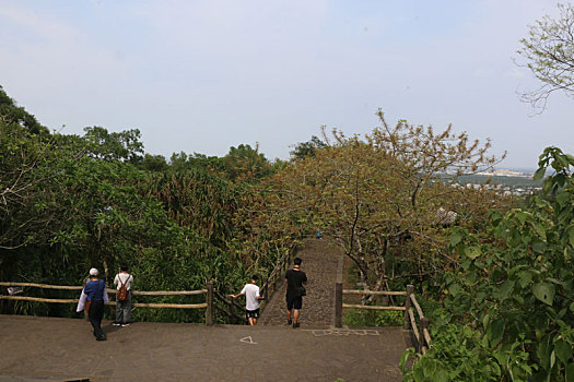 海口市火山口景区