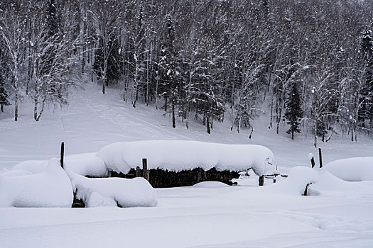 冬日雪景,中国,阿尔泰山区