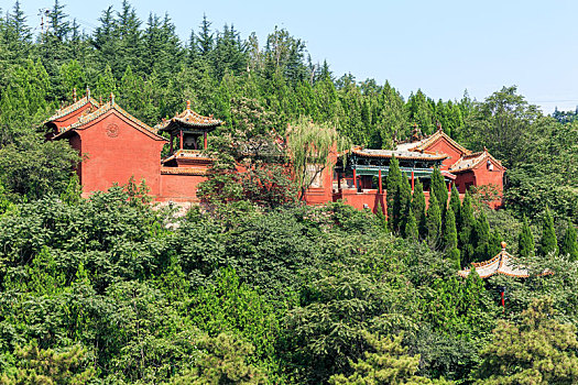 山坡绿树林间的红色庙宇,山西晋城皇城相府