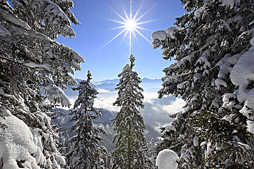 德国,巴伐利亚,上巴伐利亚,阿尔卑斯山,冬季风景