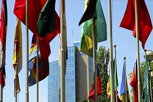 旗帜,正面,世界,条理,世界知识产权组织,日内瓦,瑞士