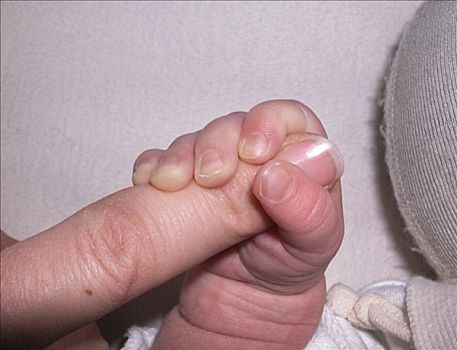 婴儿,手,母亲,手指