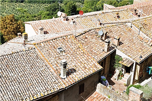 屋顶,蒙蒂普尔查诺红葡萄酒
