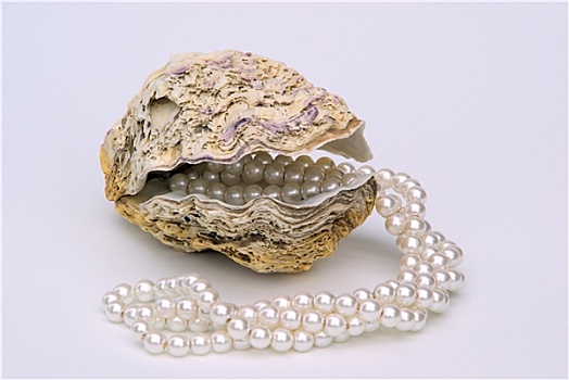 牡蛎,珍珠,颈饰