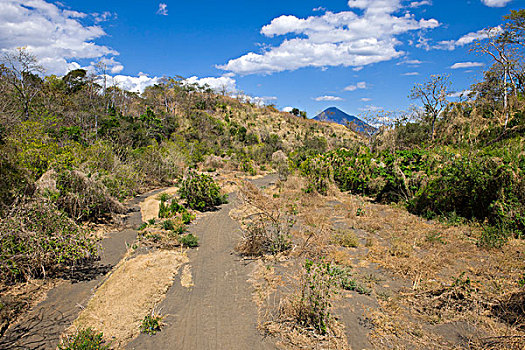 干燥,河床,西北地区,季节,尼加拉瓜,中美洲